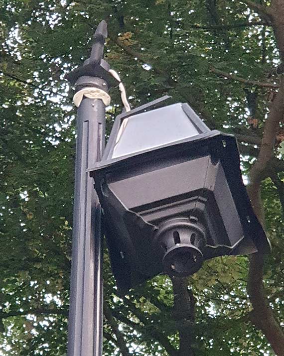 Czytelnik: Nie ma wiatru, a drzewa się łamią