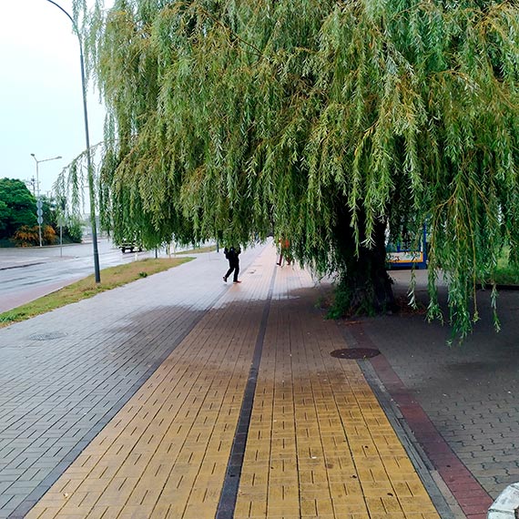 Mieszkaniec: Za niedugo rowerzyci bd musieli si czoga!