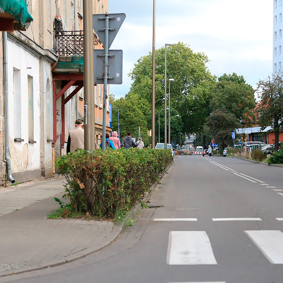 Dao si! Dzika rabatka zostaa przycita
