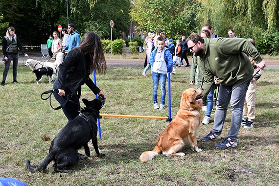 Setki osób na miejskiej wystawie pupili. Zobacz zdjęcia