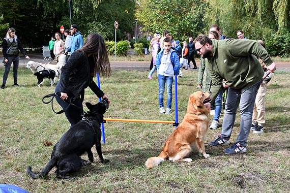 Setki osb na miejskiej wystawie pupili. Zobacz zdjcia