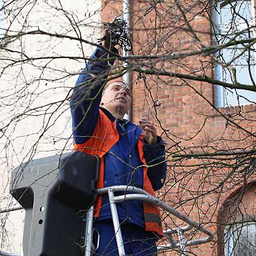 Wicej witecznych wiate