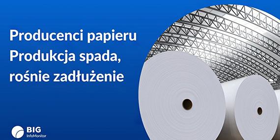 BIG InfoMonitor: Producenci papieru w opałach – produkcja spada, rośnie zadłużenie. Odczuje to branża poligraficzna
