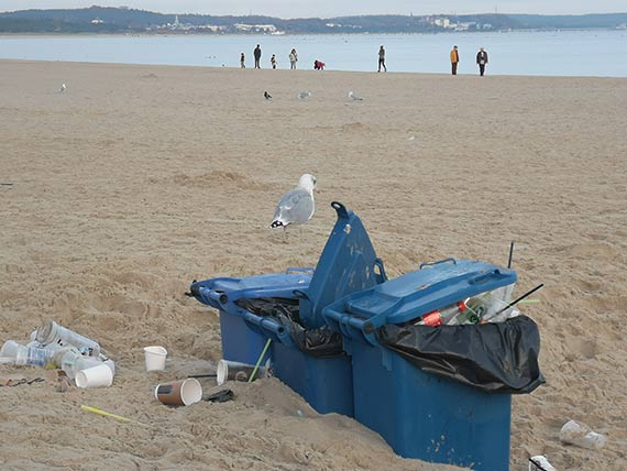 Mieszkaniec - Czy nasza plaża ma gospodarza?