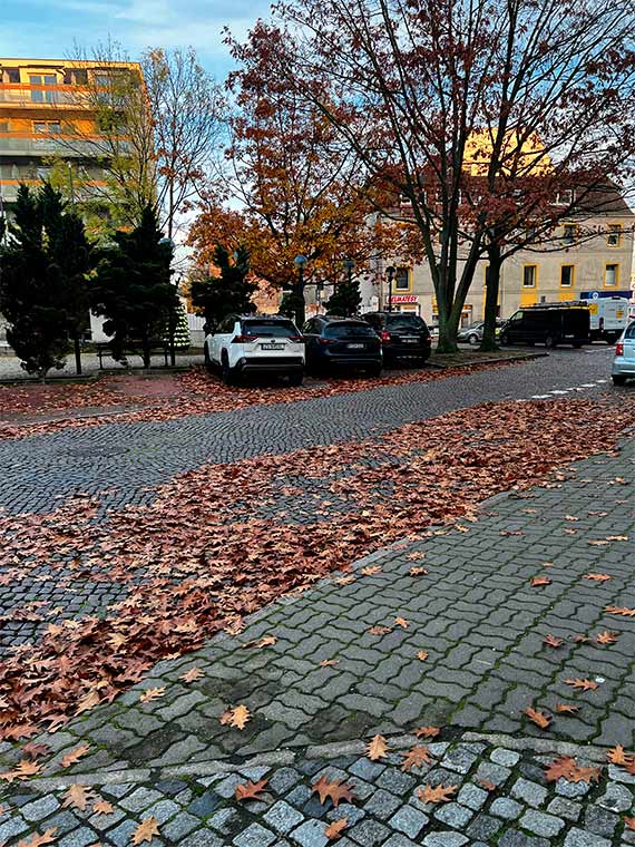 Mieszkanka: Nowe (nie-)porzdki na Placu Sowiaskim