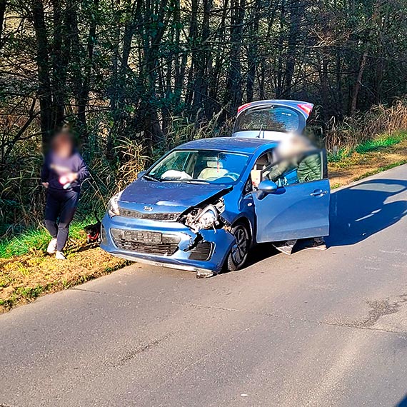 Chwile grozy na Pomorskiej, osobowa Kia kontra duży dzik! Zwierzę wybiegło na jezdnię i uszkodziło auto