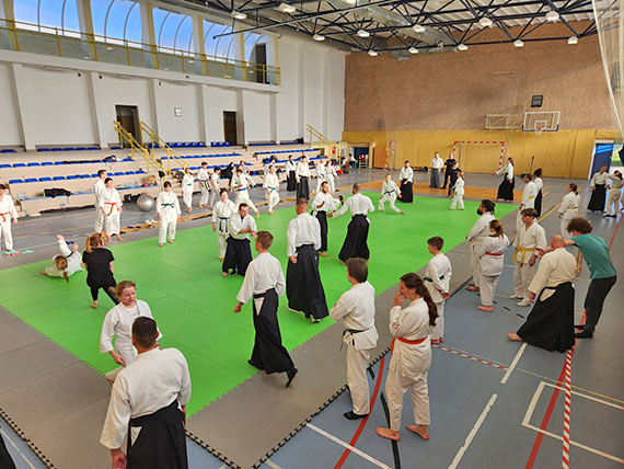 Seminarium Aikido