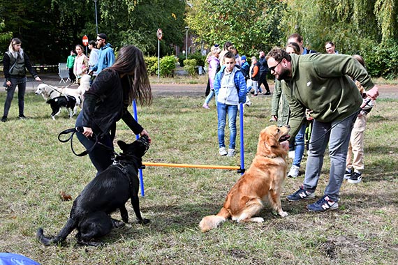 Co dalej z grk rekreacyjno – wypoczynkow?