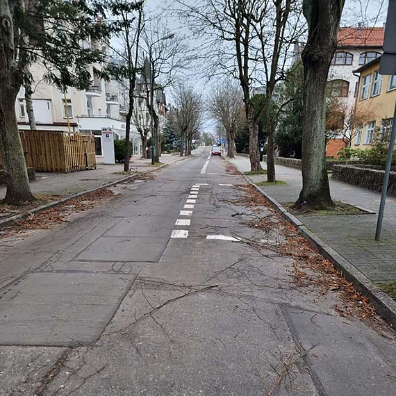 Mieszkaniec: Ulica Orkana w zeszorocznych liciach