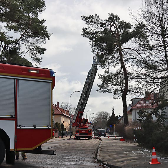 Stra poarna na Posejdonie. Dwa zastpy straakw usuny zagroenie