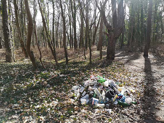 Mieszkanka - Wysypisko śmieci w parku przy Moniuszki