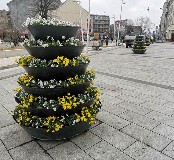 Mieszkaniec - Na pierwszy rzut poszy bratki