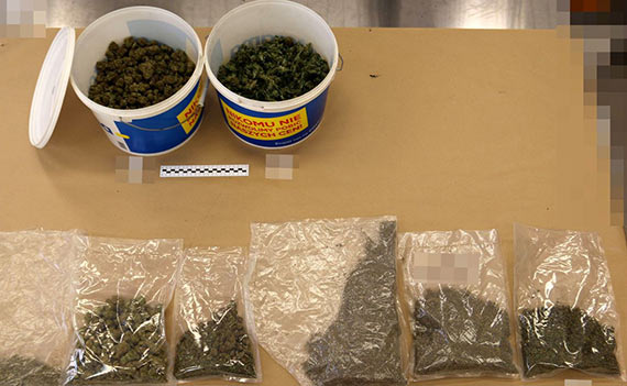 Dziki kryminalnym 6,5 kilograma narkotykw nie trafi na rynek