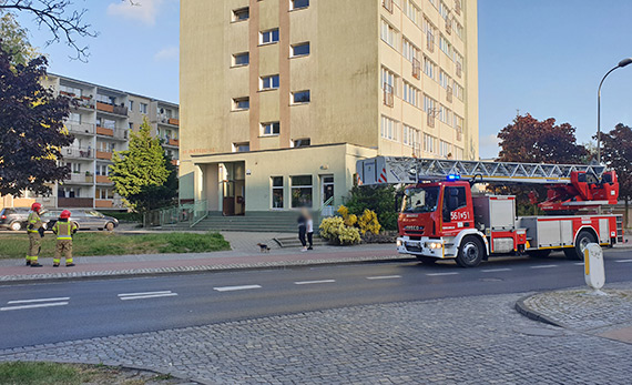 Nastolatek na dachu wie¿owca w ¦winouj¶ciu