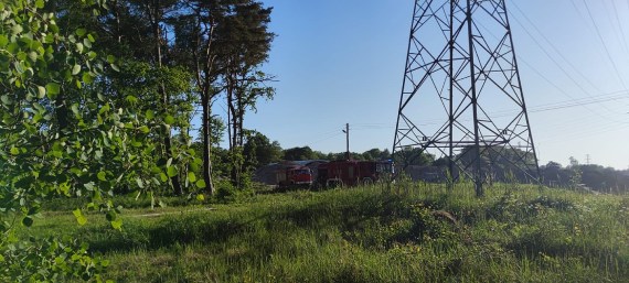 Na Wrzosowej pon las. Spaleniu ulego okoo 50 metrw kwadratowych poszycia lenego