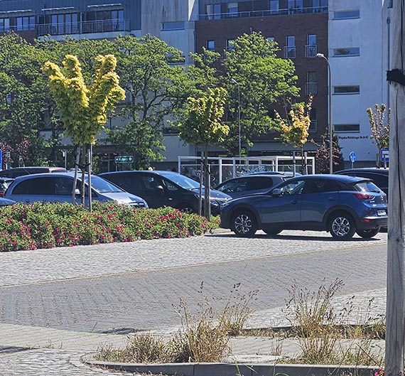 Mieszkaniec: Zagadkowe znikanie mietnikw