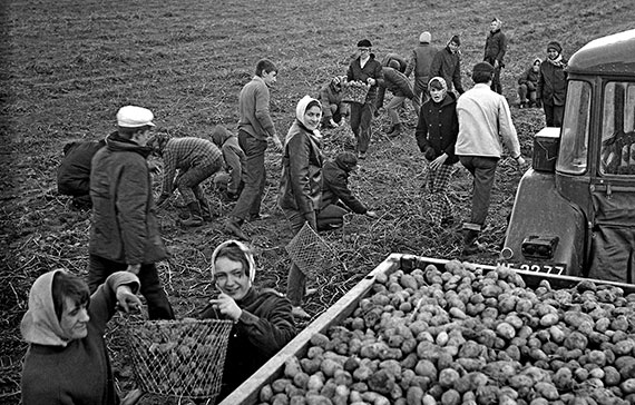 Kadr z historii: Wystawa plenerowa Życie codzienne na Pomorzu Zachodnim w obiektywie Ryfczyńskiego