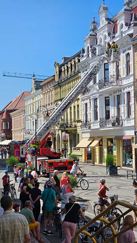 Strażacy ratują młodą mewę uwięzioną na dachu budynku