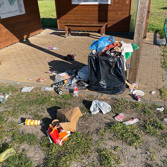 Dostrzeżony problem odpadów w parku Zdrojowym: jak skuteczniej zarządzać śmieciami?