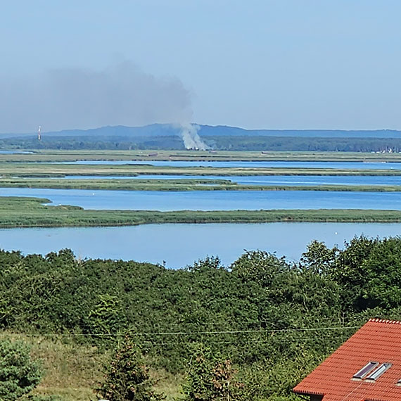Pożar trawy w Świnoujściu - Skuteczna akcja strażaków