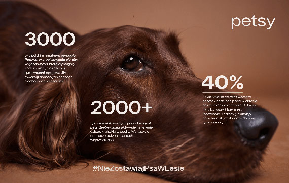 Polacy nadal są mistrzami świata w porzucaniu psów! - opiekunowie zwierząt mówią STOP!