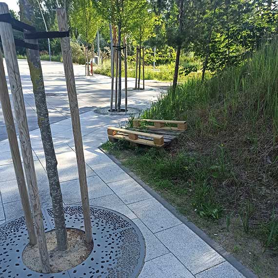 Promenada Zdrowia w Świnoujściu: Kosztowny projekt w cieniu kontrowersji
