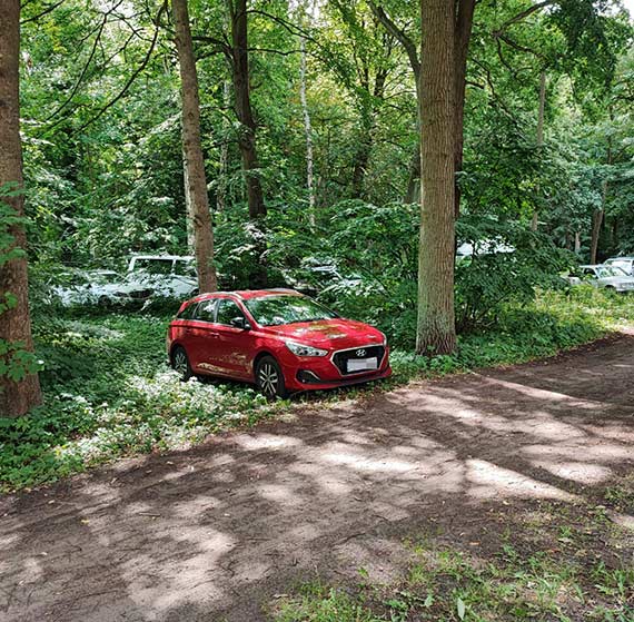 Zaszliśmy za daleko: bezprawne parkowanie dewastuje nie tylko Park Zdrojowy! Czy tak ma wyglądać miejska polityka parkingowa?