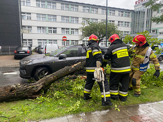 Niebezpieczne zdarzenie przy ulicy Energetykw – Drzewo spadajc zahaczyo o samochd
