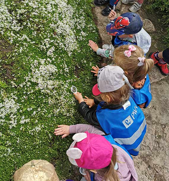 Nauka poprzez zabaw w Przelewickim Arboretum!