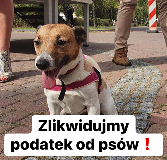Grupa Morska: Musimy znie podatek od posiadania psw!