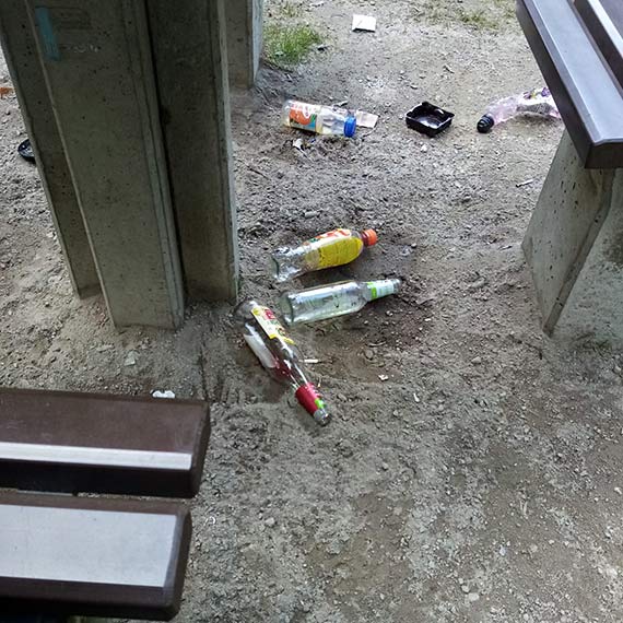 Park Chopina: Miejsce spotkań, hałasu i brudu