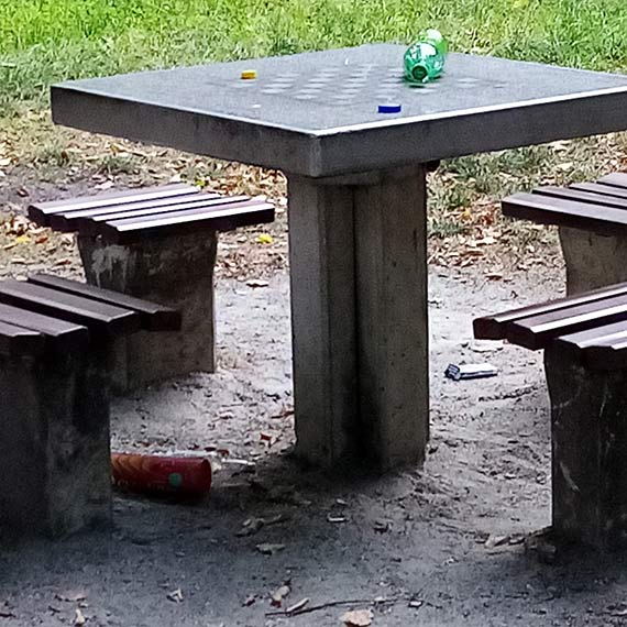 Park Chopina: Miejsce spotkań, hałasu i brudu