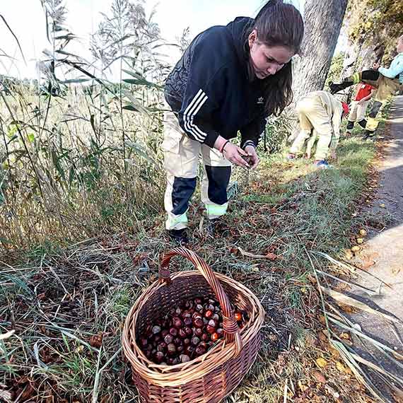 OSP Przytór: Kasztanobranie wśród młodych pożarników