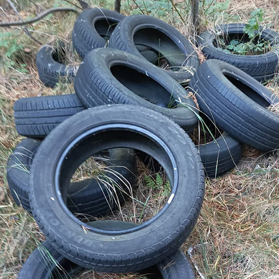 Mieszkaniec: las przy przeprawie promowej Karsibór. Coraz mniej ściółki, coraz więcej śmieci!
