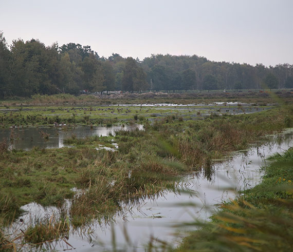 Urząd Miasta: Podtopione tereny za wałem w Łunowie - przyczyną jest...natura
