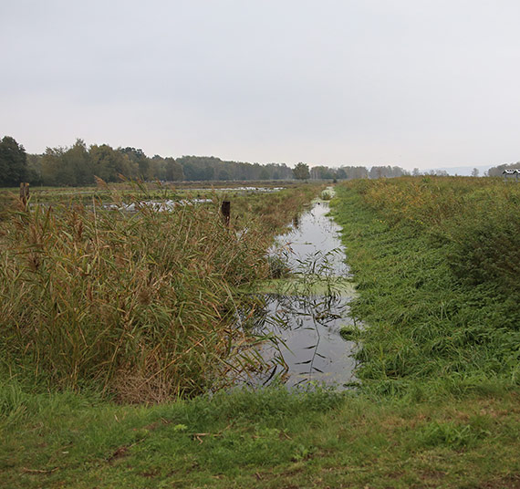 Urząd Miasta: Podtopione tereny za wałem w Łunowie - przyczyną jest...natura