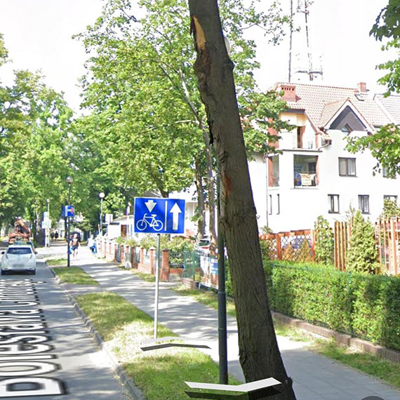 Niemoc władz w obliczu niebezpiecznego drzewa na ulicy Chrobrego