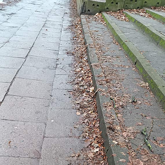 Mieszkaniec: Dziękuję za czyste miasto