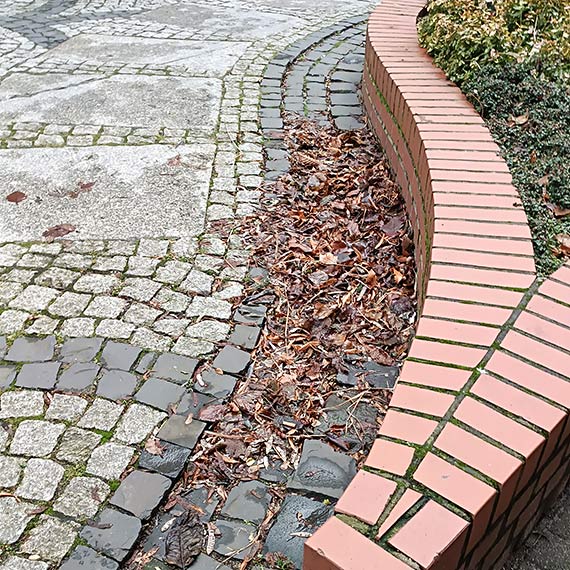 Mieszkaniec: Dziękuję za czyste miasto