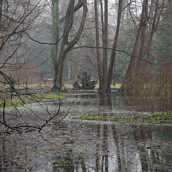 Projekt pod wodą: Dlaczego Park Zdrojowy w Świnoujściu nie wytrzymał deszczu?