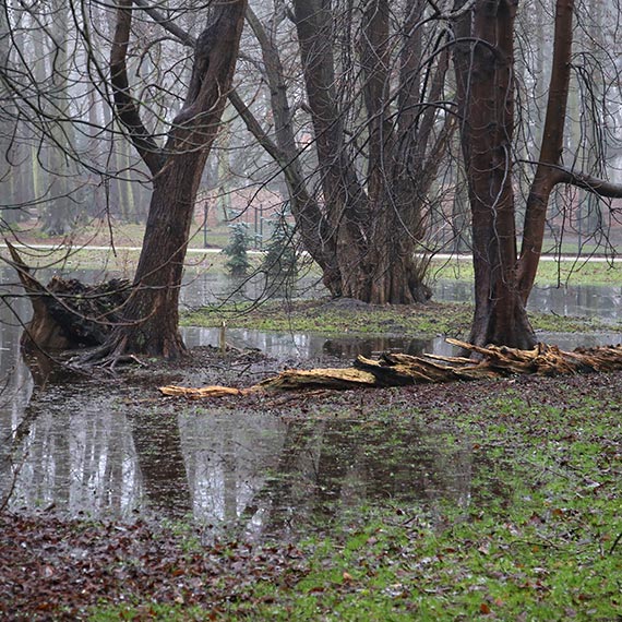 Projekt pod wodą: Dlaczego Park Zdrojowy w Świnoujściu nie wytrzymał deszczu?
