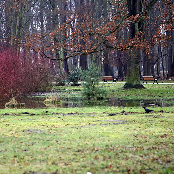 Projekt pod wodą: Dlaczego Park Zdrojowy w Świnoujściu nie wytrzymał deszczu?