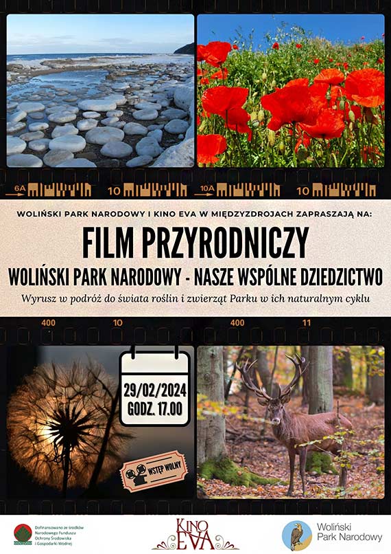 Kino Eva w Międzyzdrojach prezentuje: Miłość jak miód, SAMI SWOI. Początek oraz Zagadka Klary Muu od 23 lutego