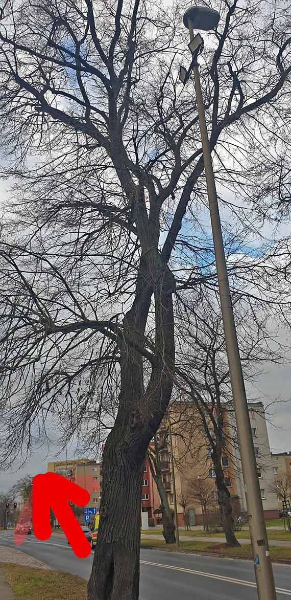 Zwisający kabel elektryczny przy Pumptracku