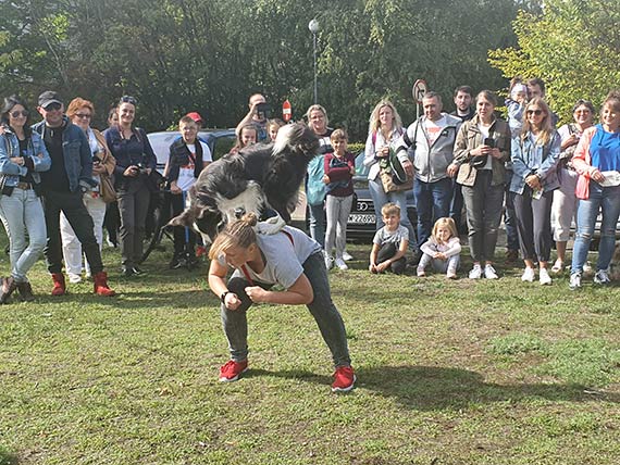 Grupa Morska podsumowuje ostatnich 5 lat pracy!