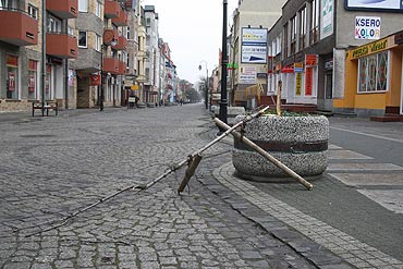 Poamali drzewko