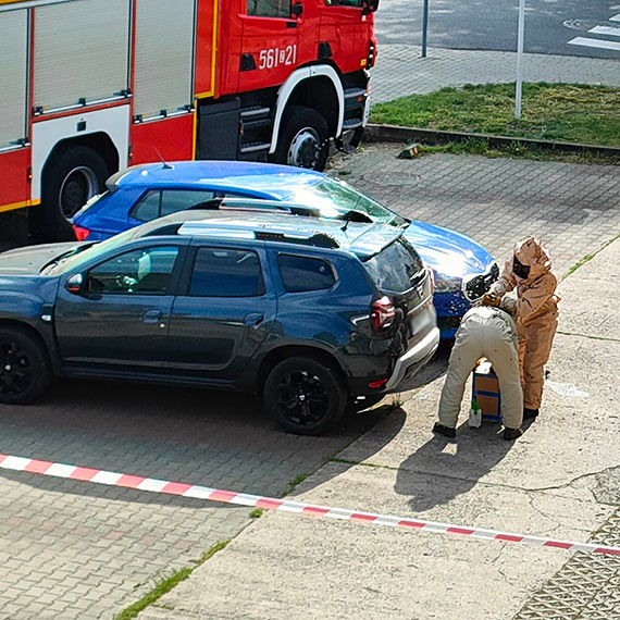 Niezwykły zwrot wydarzeń: Pszczoły „Okupują” samochód na osiedlowym parkingu