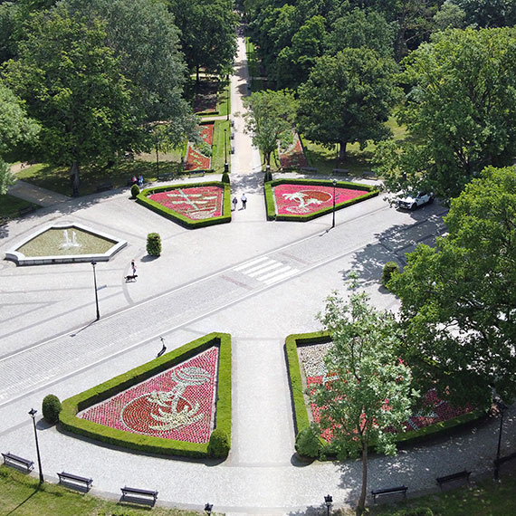 Marynistyczne kompozycje w Parku Zdrojowym ju posadzone