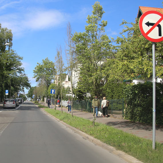 Świnoujście i jego umierające drzewa