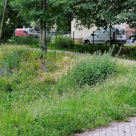 Dzieci proszą: Zadbajcie o nasz plac zabaw